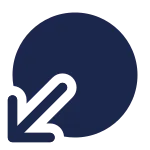 Circle Bottom Down SVG Icon